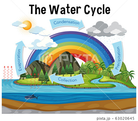 ⏩SOLVED:Draw a diagram to illustrate the water, carbon, nitrogen,… |  Numerade