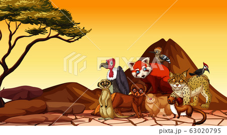 Scene with wild animals in savanna field 63020795