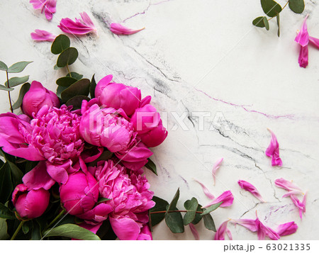 Pink peonies on a marble background 63021335