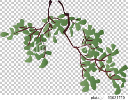浮世絵 花&植物 その5 浮世絵 花&植物 その5 63021730