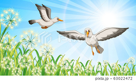 Nature scene background with two birds flying in Nature scene background with two birds flying in 63022472