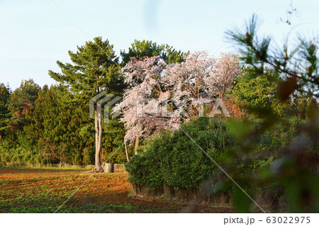 風景 観光 風 63022975