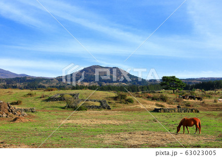 風景 観光 風 63023005