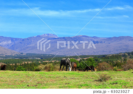 風景 観光 風 63023027