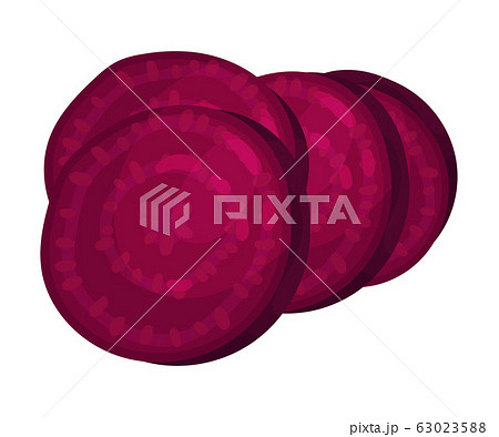Chopped or Sliced Purple Beetroot Isolated on White Background Vector Illustration 63023588