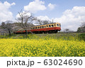 菜の花畑とローカル線 63024690