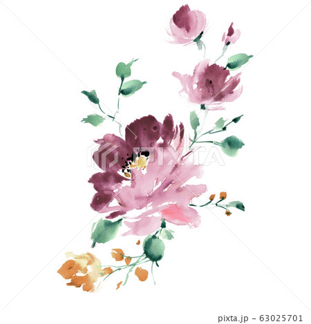 手绘水彩花素材合集，优雅水墨画のイラスト素材 [63025701] - PIXTA