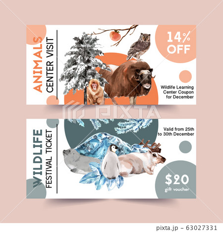 Winter animal voucher design with seal, monkey, 63027331