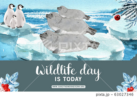 Winter animal frame design with sea lion, penguin Winter animal frame design with sea lion, penguin 63027346