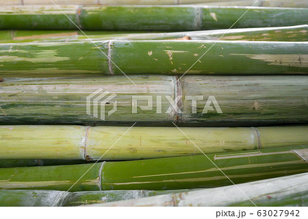 Close up pile of green bamboo stick Close up pile of green bamboo stick 63027942