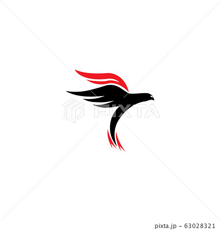 falcon eagle bird logo template vector falcon eagle bird logo template vector 63028321