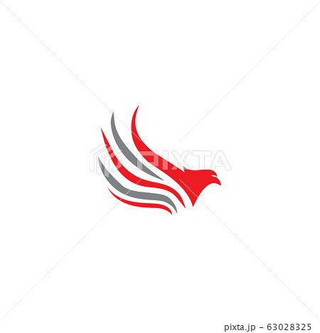 falcon eagle bird logo template vector 63028325