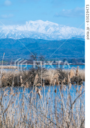 霊峰白山　加賀市　柴山潟　片山津温泉（2020年3月6日撮影） 63029473