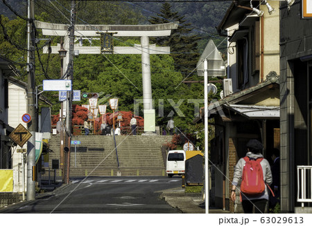 キリシマツツジが咲く初夏の京都府長岡天満宮と長岡京市の町並み キリシマツツジが咲く初夏の京都府長岡天満宮と長岡京市の町並み 63029613
