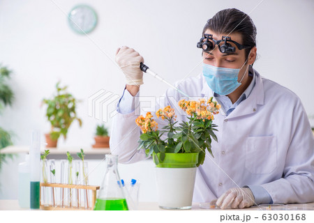 Young male chemist working in the lab Young male chemist working in the lab 63030168