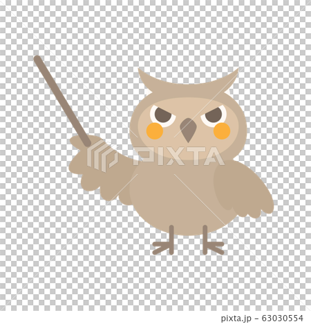 Pointing stick owl get angry 63030554