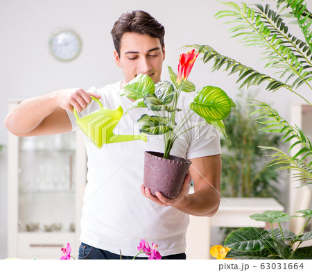 Man taking care of plants at home 63031664