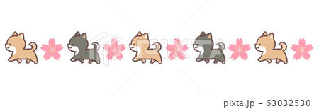 柴犬黒柴犬歩くライン 桜のイラスト素材