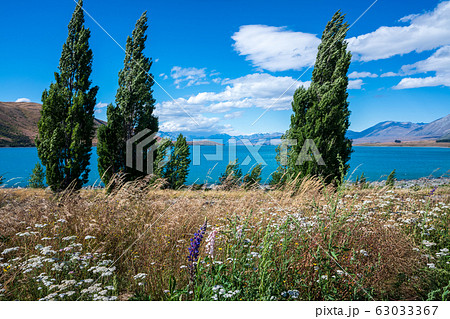 テカポ湖 Lake Tekapo テカポ湖 Lake Tekapo 63033367