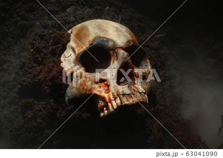 Skull of a dead man in on the ground Skull of a dead man in on the ground 63041090