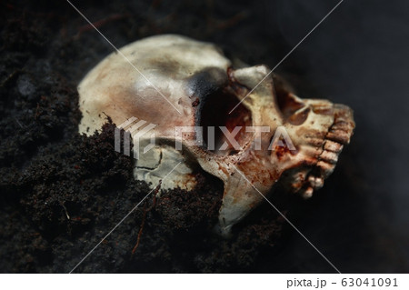 Skull of a dead man in on the ground Skull of a dead man in on the ground 63041091