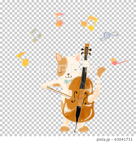 動物玩貓 63041731