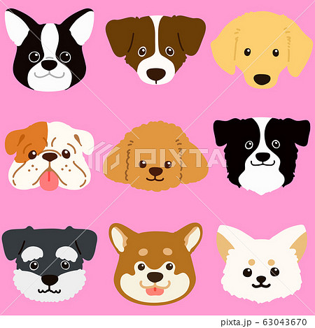 色々な犬の顔セット 主線なしのイラスト素材
