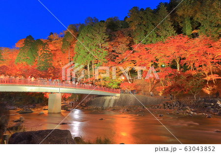 【愛知県】香嵐渓の紅葉ライトアップ 63043852