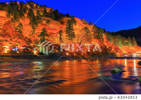【愛知県】香嵐渓の紅葉ライトアップ 63043853