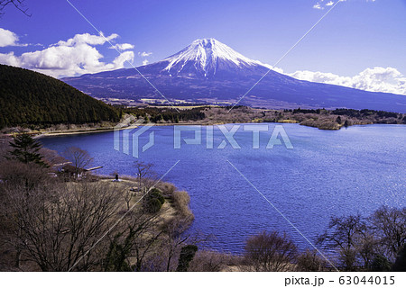 （静岡県）田貫湖・展望台から望む冬の富士山 63044015