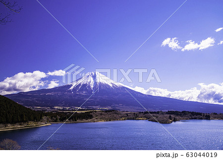 （静岡県）田貫湖・展望台から望む冬の富士山 63044019