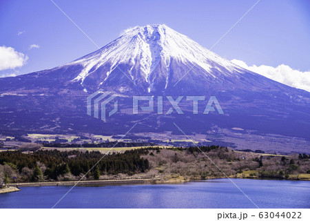 （静岡県）田貫湖・展望台から望む冬の富士山 63044022