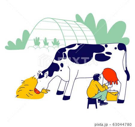 Young Milkmaid in Uniform Sitting on Chair and Milking Cow into Bucket. Milk and Dairy Farmer Agriculture Products Young Milkmaid in Uniform Sitting on Chair and Milking Cow into Bucket. Milk and Dairy Farmer Agriculture Products 63044780