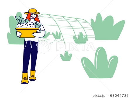 Girl Farmer or Gardener in Working Robe with Basket of Ripe Healthy Vegetables from Greenhouse, Farm Natural Product Girl Farmer or Gardener in Working Robe with Basket of Ripe Healthy Vegetables from Greenhouse, Farm Natural Product 63044785