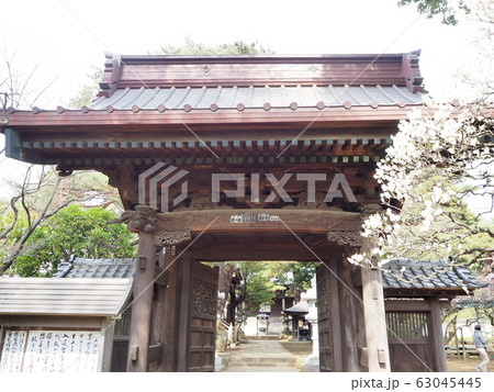 三宝寺 63045445