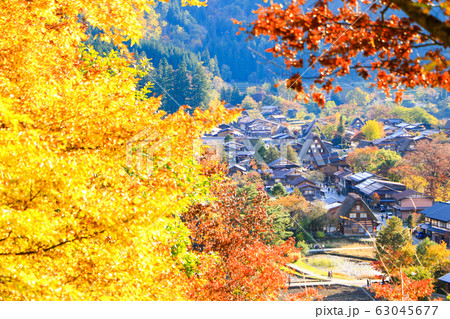 白川郷の紅葉 63045677