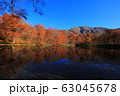 刈込湖の紅葉 63045678