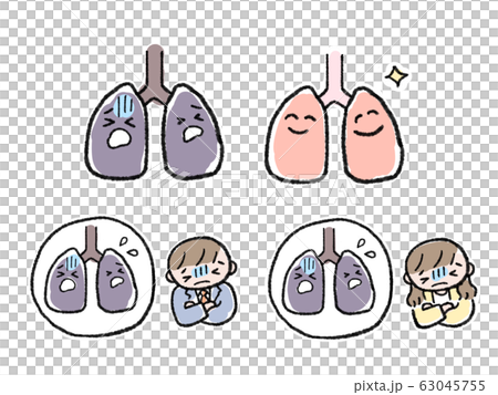 タバコ　害　肺 63045755