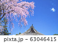 枝垂れ桜と民家の屋根 63046415