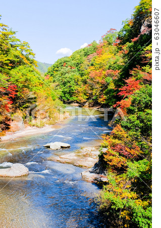吹割渓谷 (秋) 吹割渓谷 (秋) 63046607