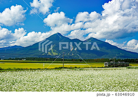 そば畑と会津磐梯山 そば畑と会津磐梯山 63046910