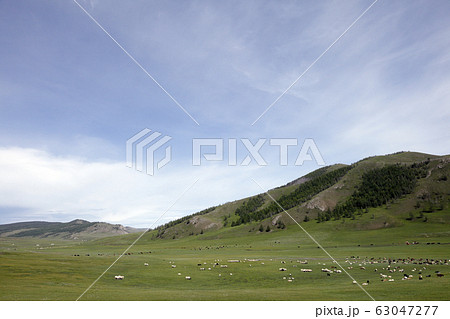 モンゴルの風景 63047277