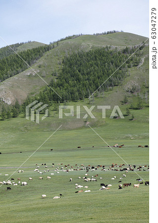 モンゴルの風景 63047279