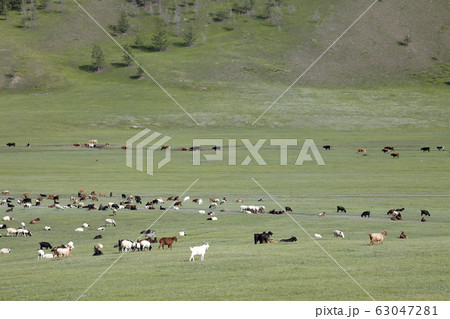 モンゴルの風景 63047281