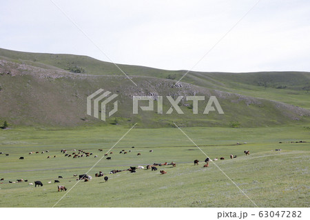 モンゴルの風景 63047282