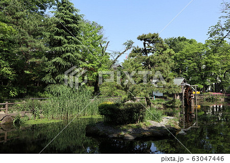 渋谷 鍋島松濤公園 渋谷 鍋島松濤公園 63047446