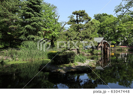 渋谷 鍋島松濤公園 渋谷 鍋島松濤公園 63047448