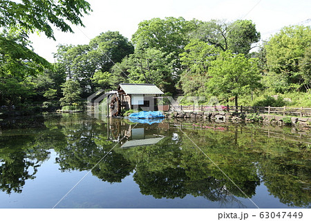 渋谷　鍋島松濤公園 63047449