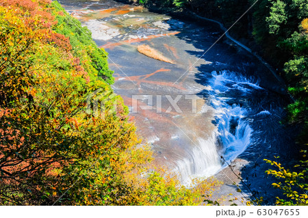 吹割の滝 （秋）：第一観瀑台より 63047655