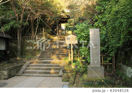 円覚寺塔頭・黄梅院山門 63048526